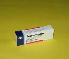 TERRAMYCIN DERI POM.